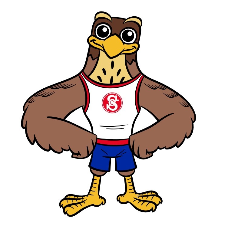 Cvičení se sokolem