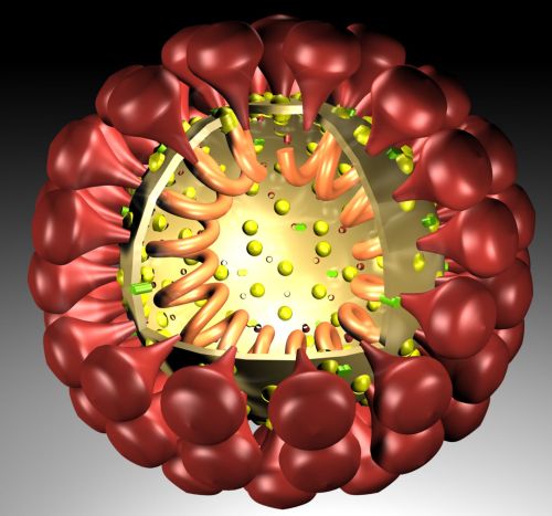 Aktuálně k epidemiologické situaci - 12.3.2020